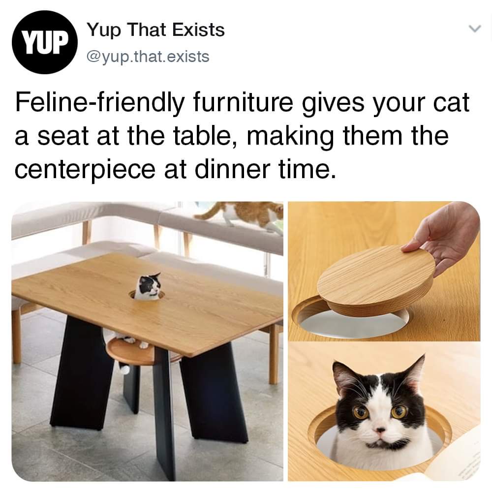 This design has 'cat-approved' written all over it