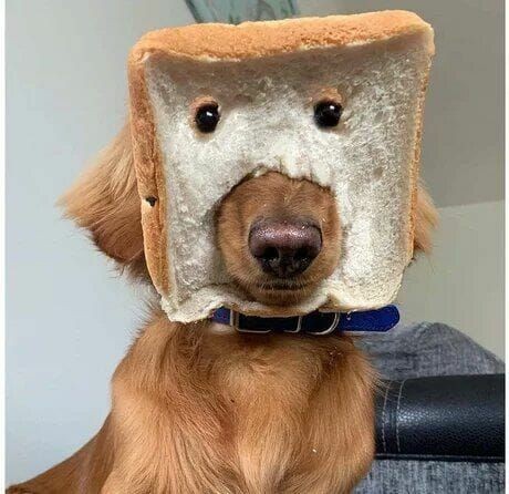 Gaze into My Eyes: What Do You See?
