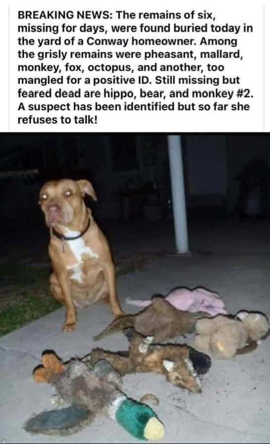 I used to think this neighborhood was a safe haven.