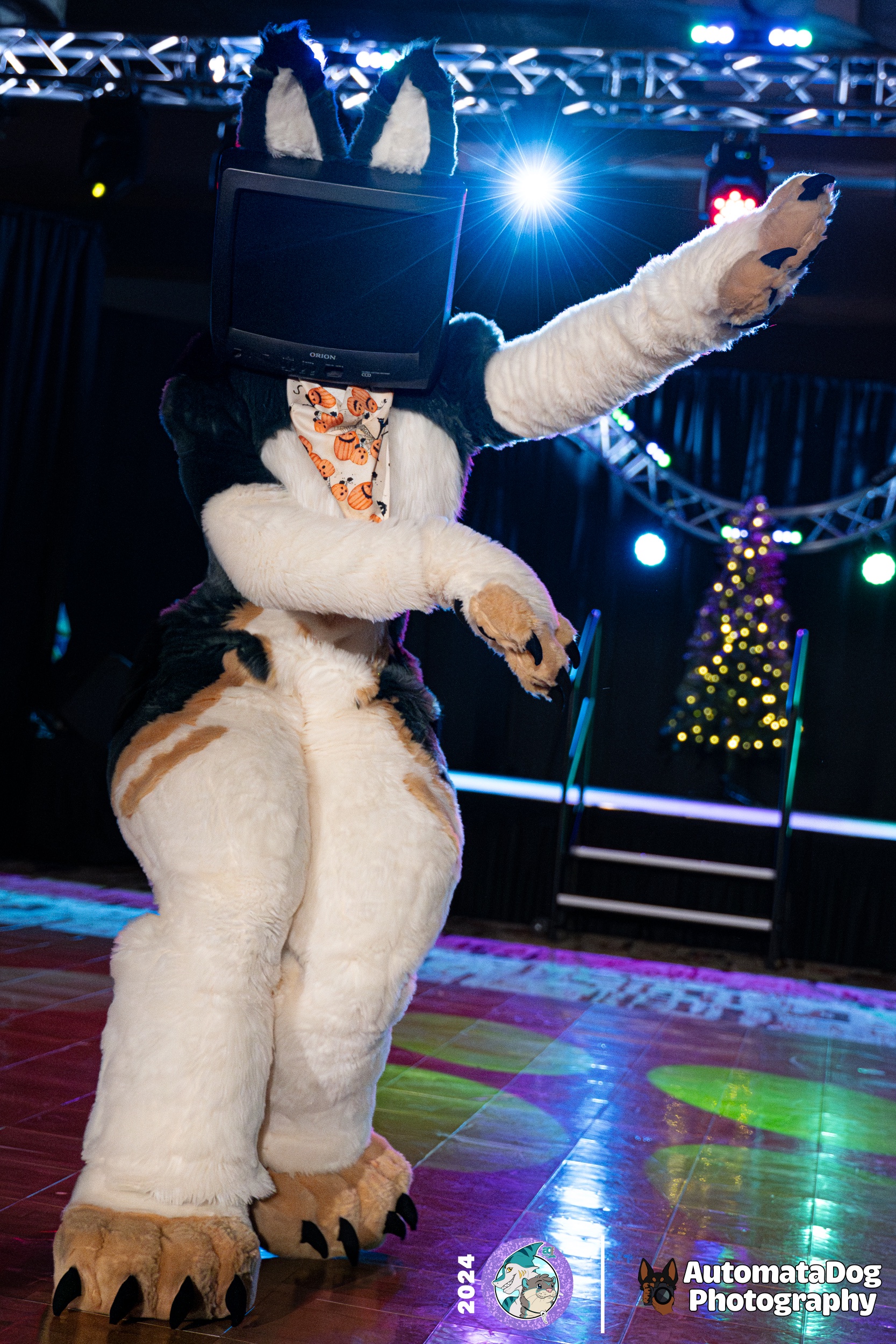 A daily snapshot from a furry photographer: Day 427 of cuteness overload