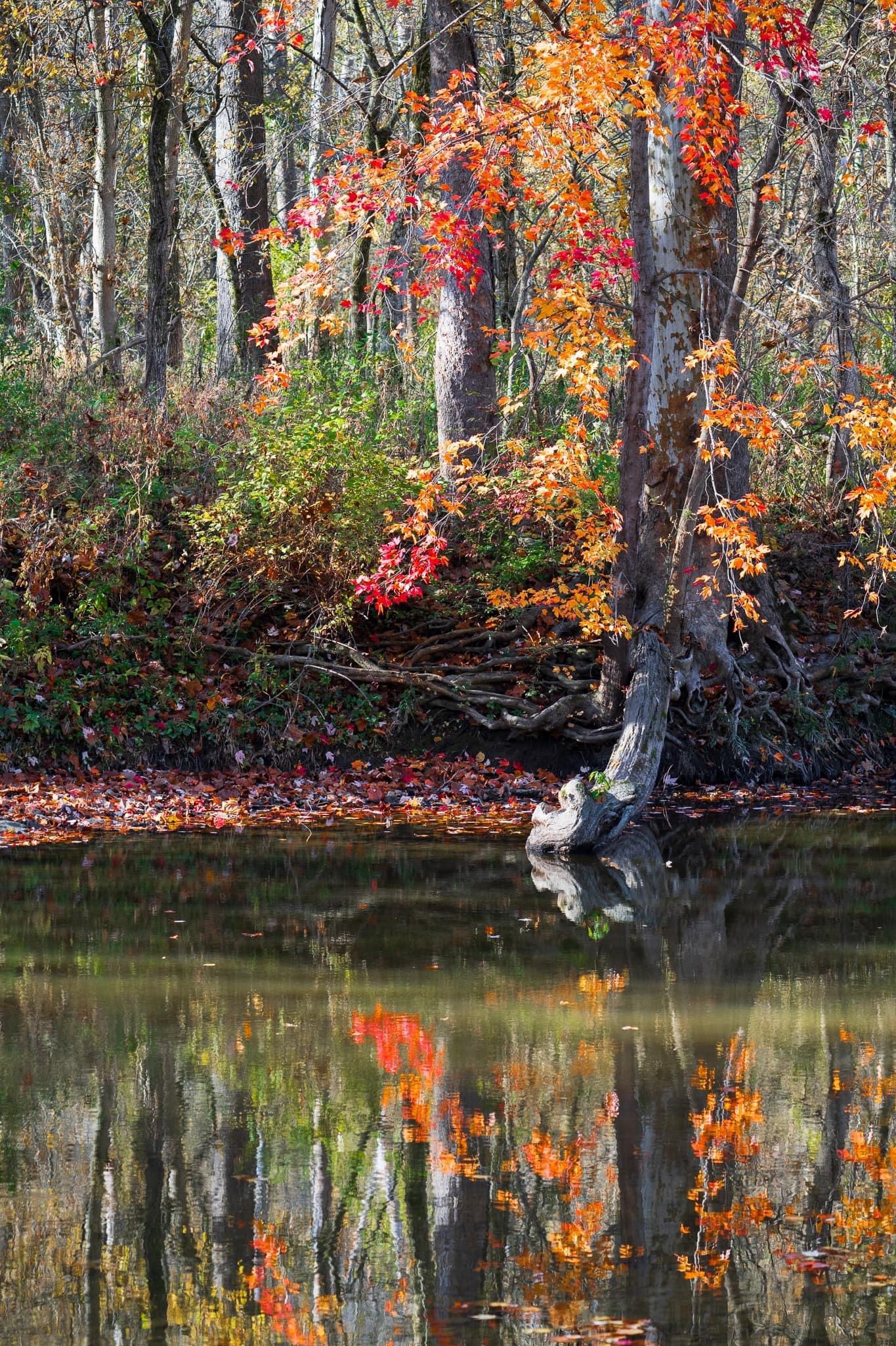 Embracing the Beauty of Autumn