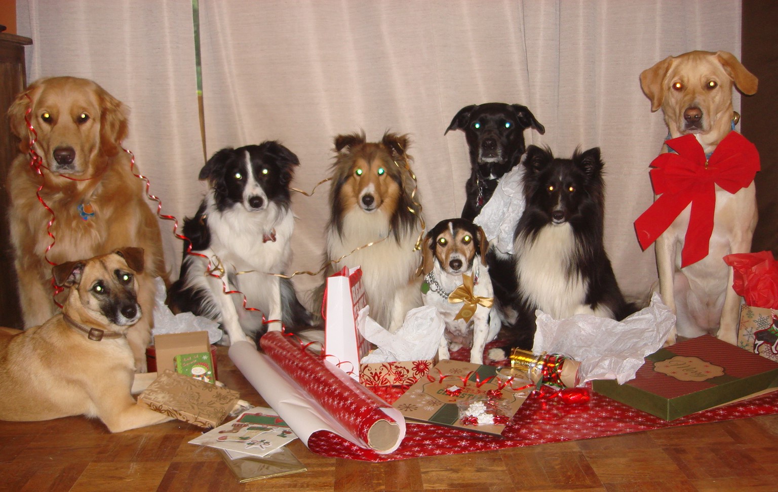 Merry Christmas from My Amazing Daycamp Crew!