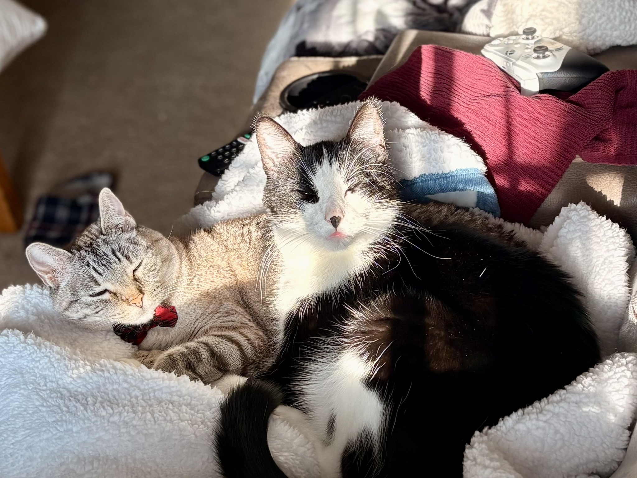 Poopsen and Karl Struggling to Stay Awake on New Year's Day