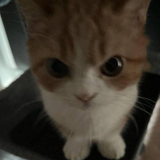 Why Not Share a Hug with Me?