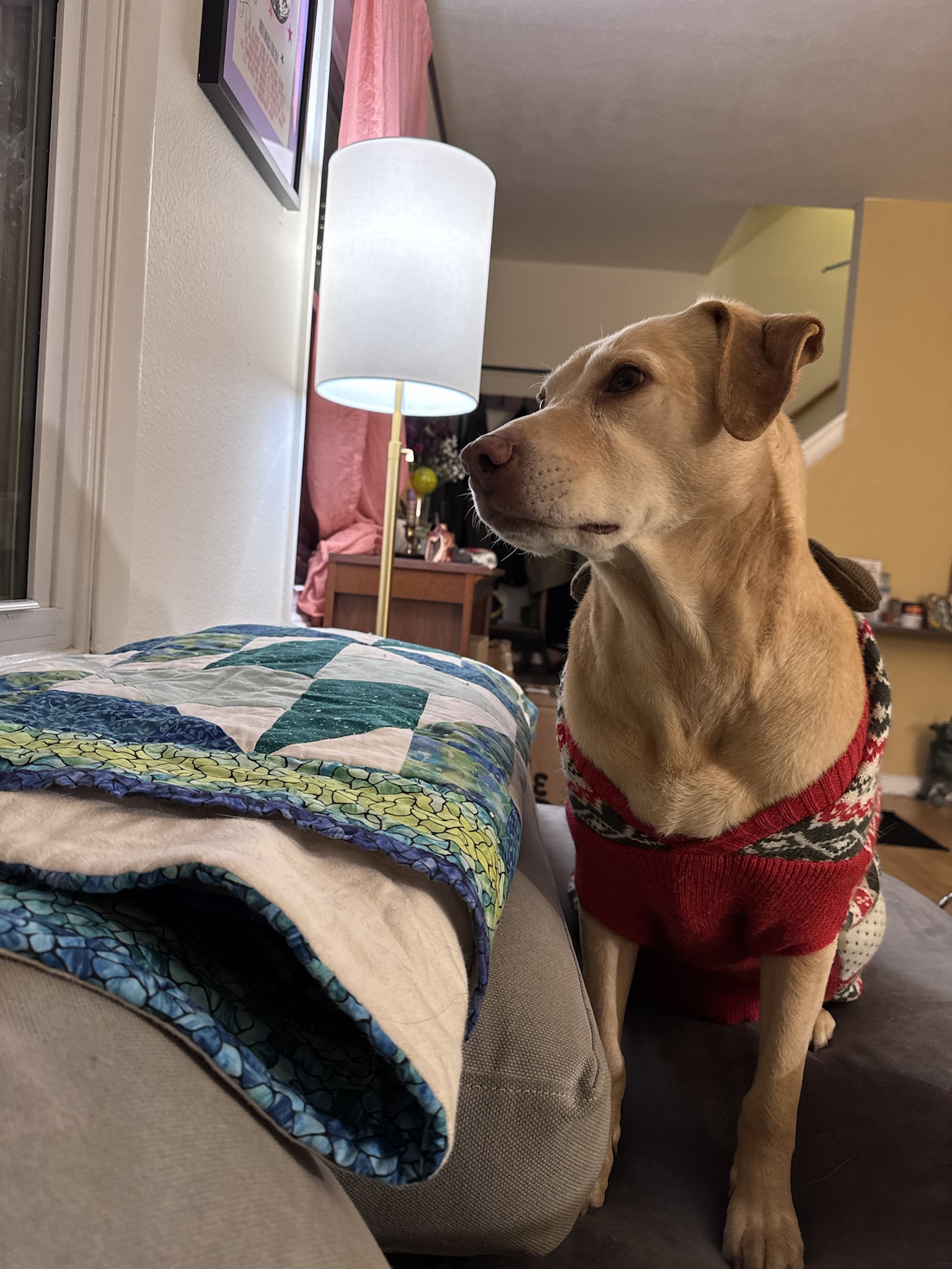 Snuggling Up for the Holiday Season