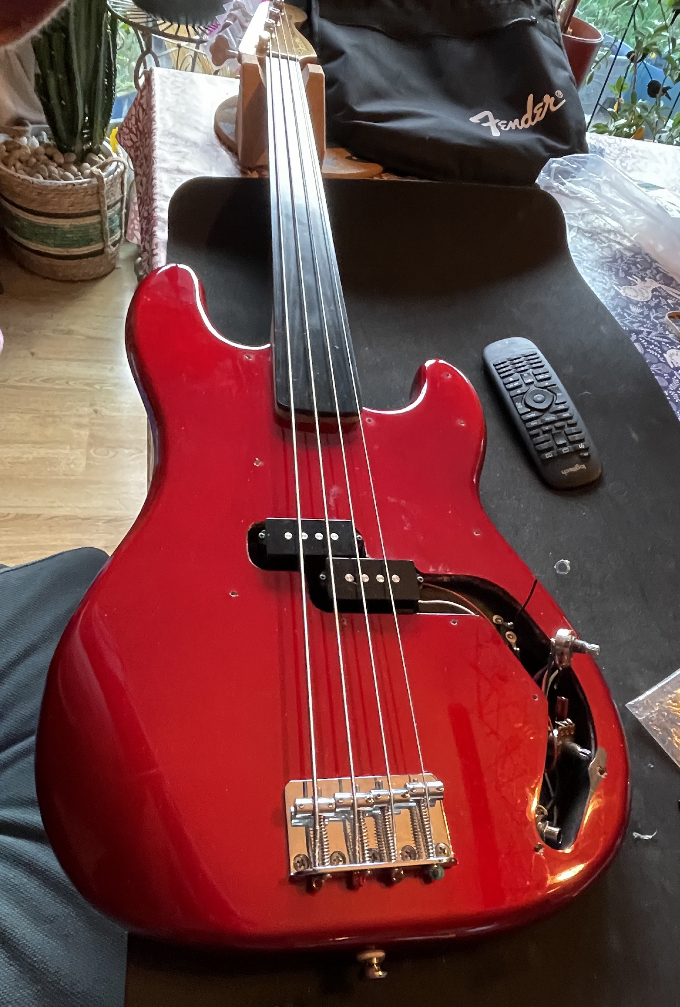 The Art of Fretless Playing