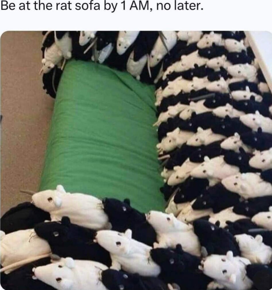 The Cozy Rat Couch: A Unique Sofa Experience