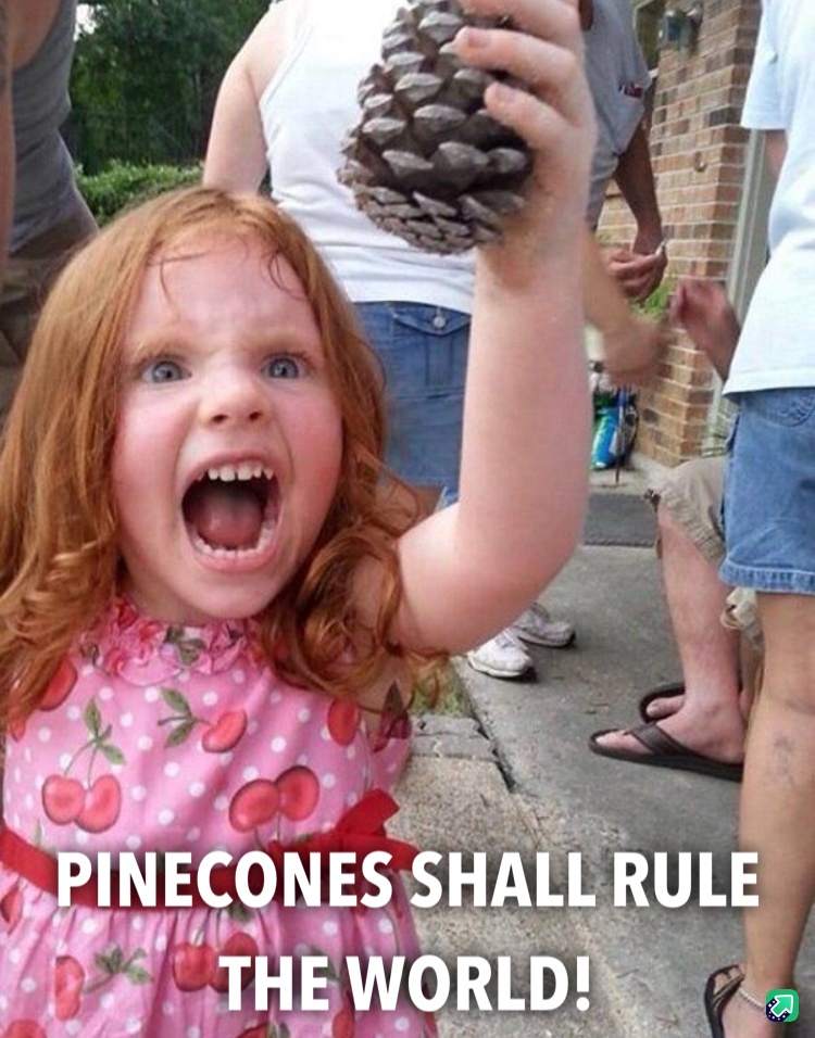 Team PINECONE: We Will Rise Victorious!