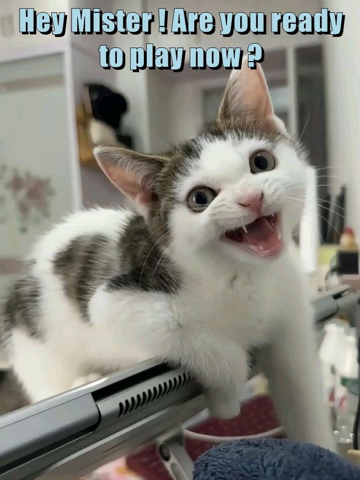 Join the Fun: Let's Play Red Dot!