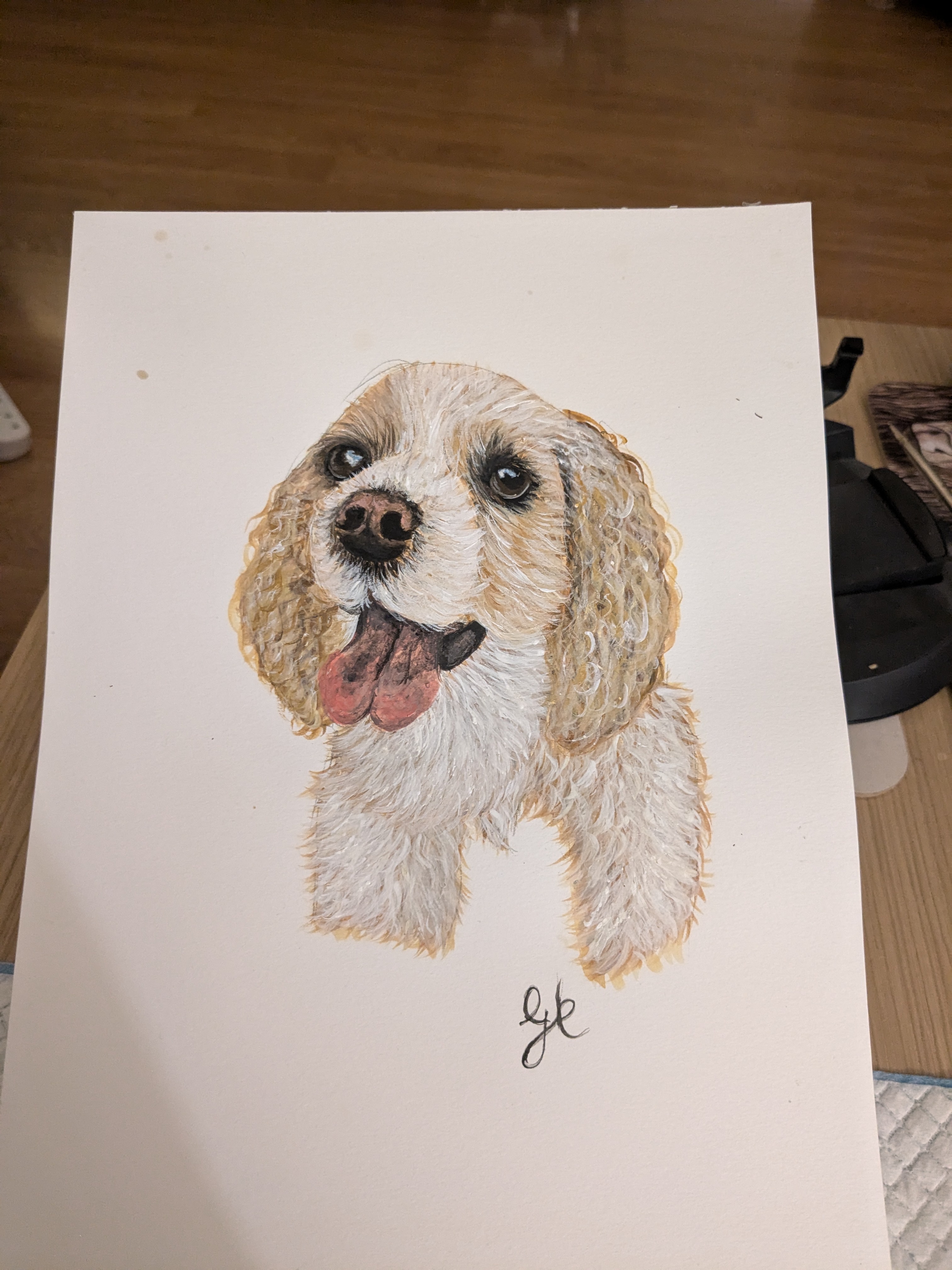 Meet the Adorable Cocker Spaniel