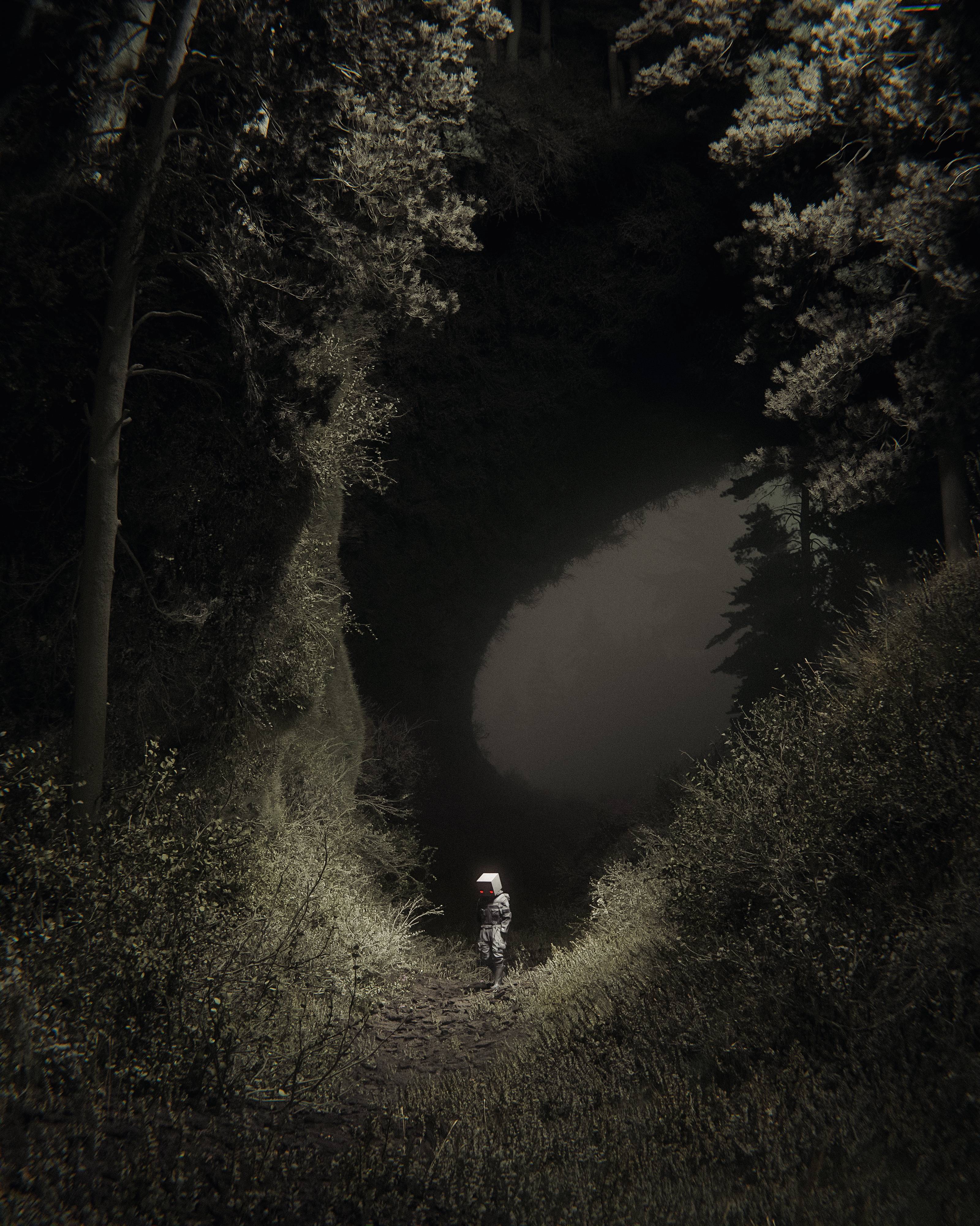 Journey Through the Hollow with Huleeb