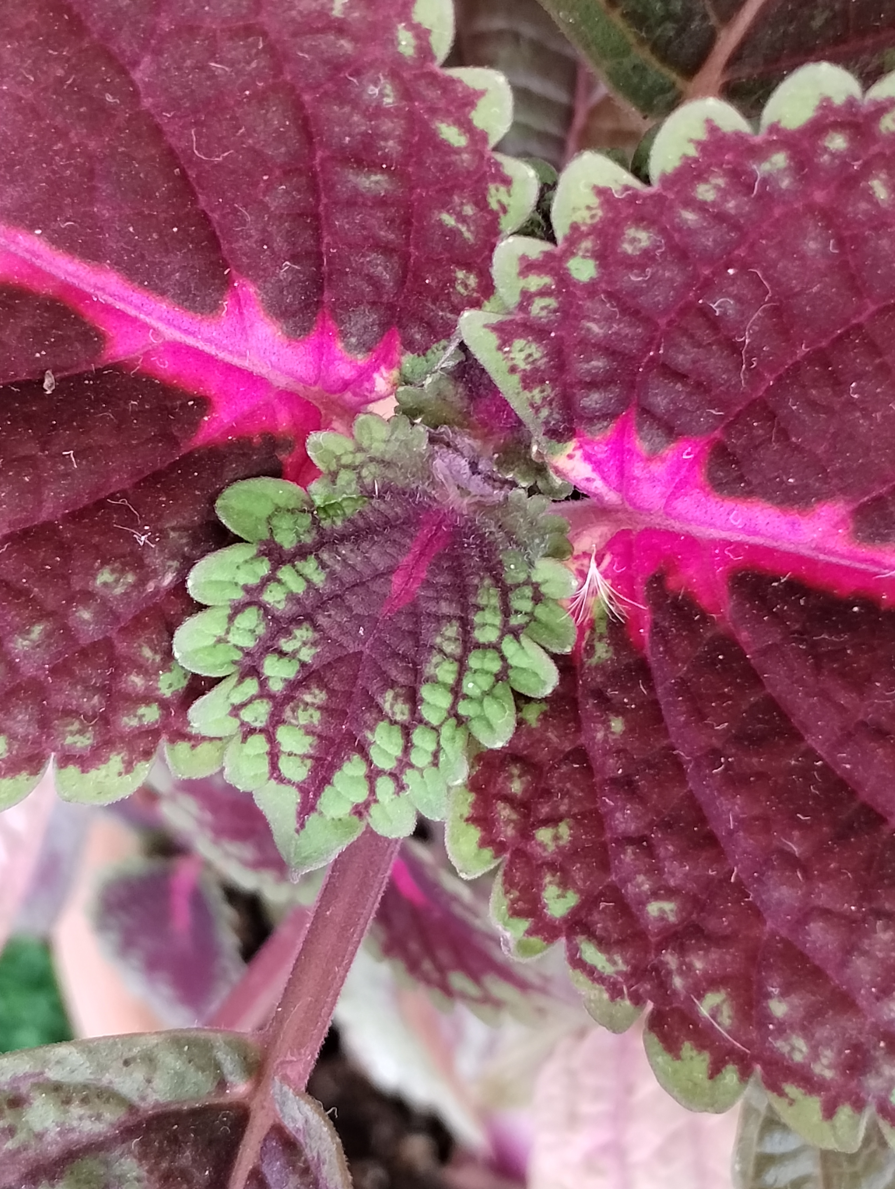 A Vibrant World of Colors and Textures