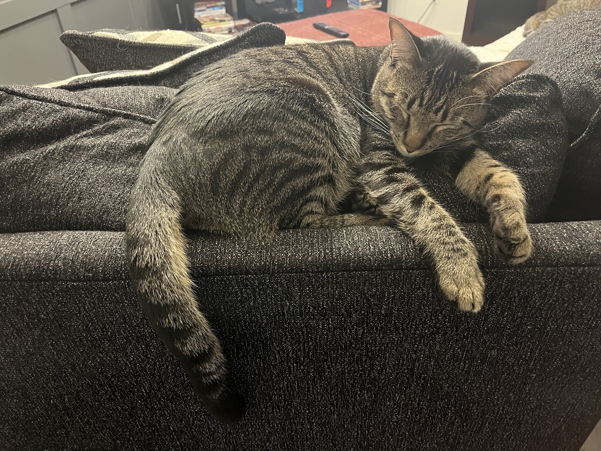 Nap So Hard: The Art of Power Napping
