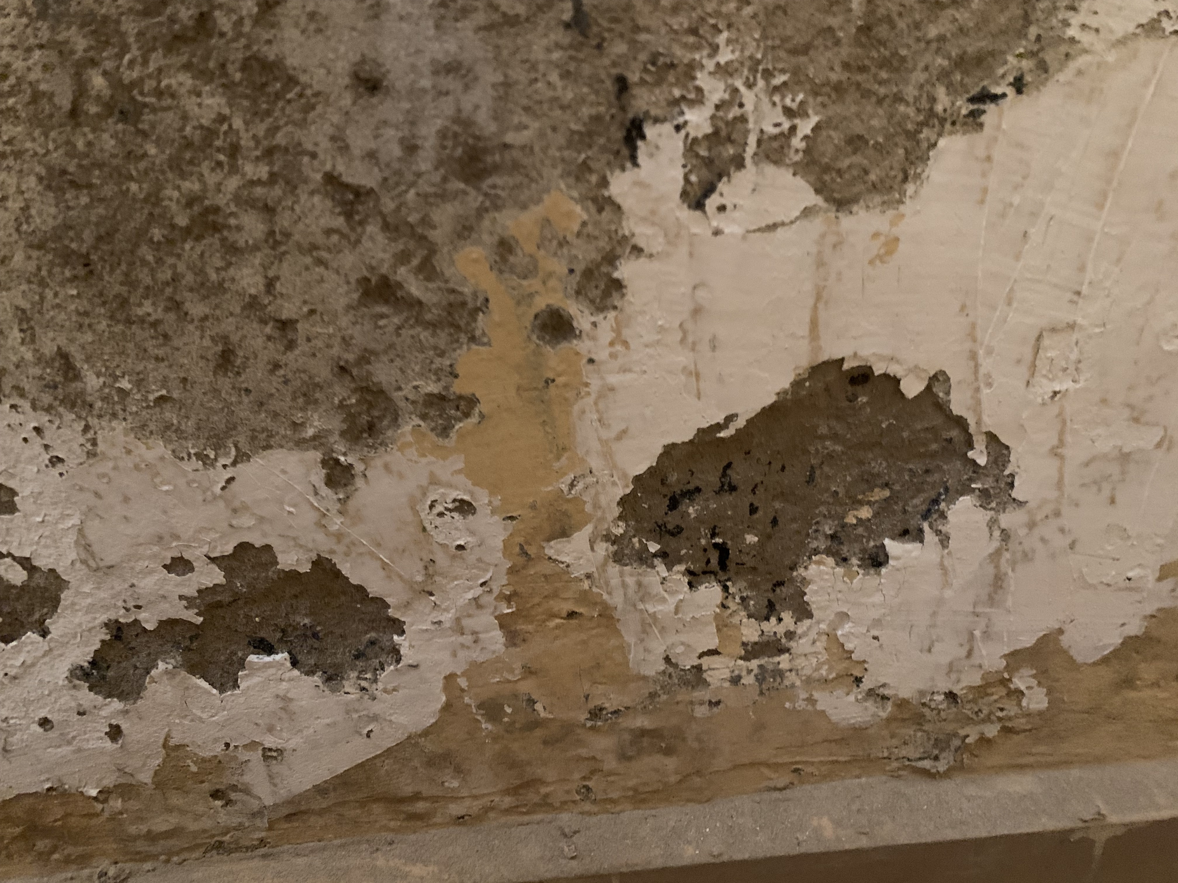 The Surprising Effects of Wall Designs