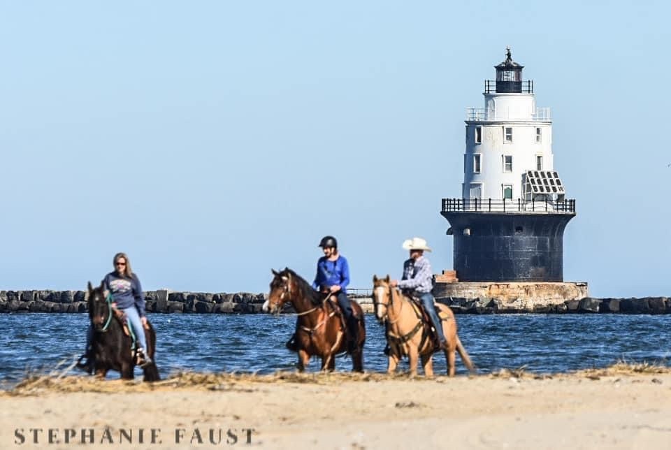 Beach Riding Adventures: Sun, Sand, and Horses