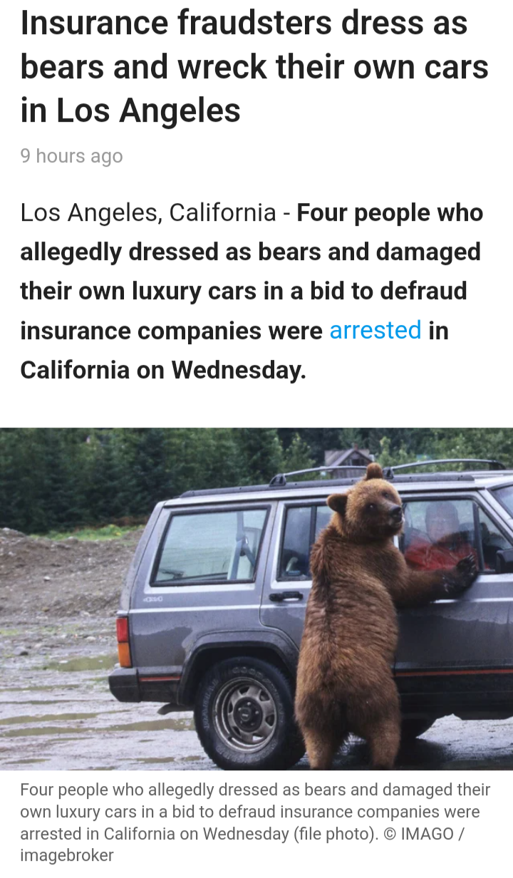 They almost got away with it, if not for those pesky insurance sleuths!