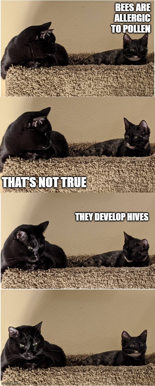 Splunk and Smudge: A Dynamic Duo