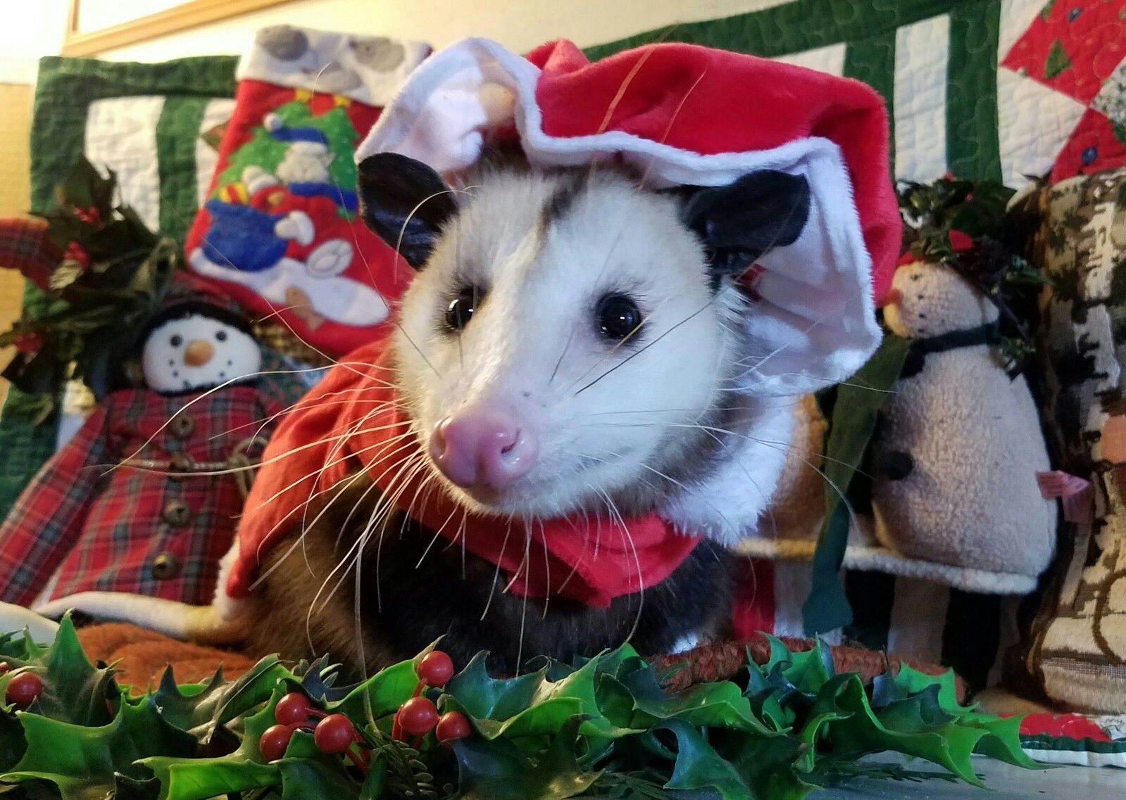 Say Hello to Christmas!