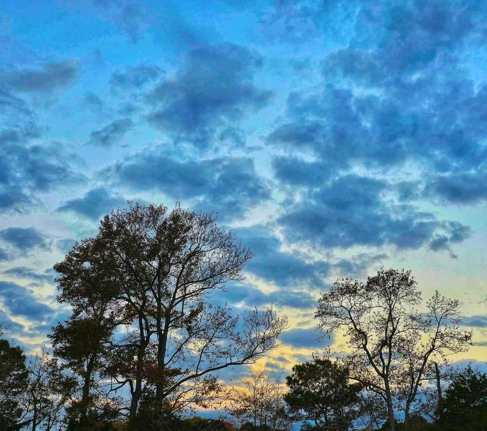 A Beautiful Day Among the Clouds