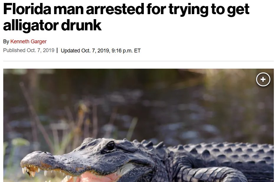 Florida: A Truly Fascinating Place