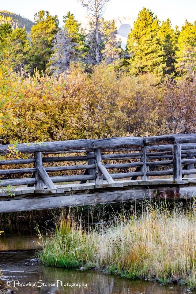 The Bridge: A Symbol of Connection