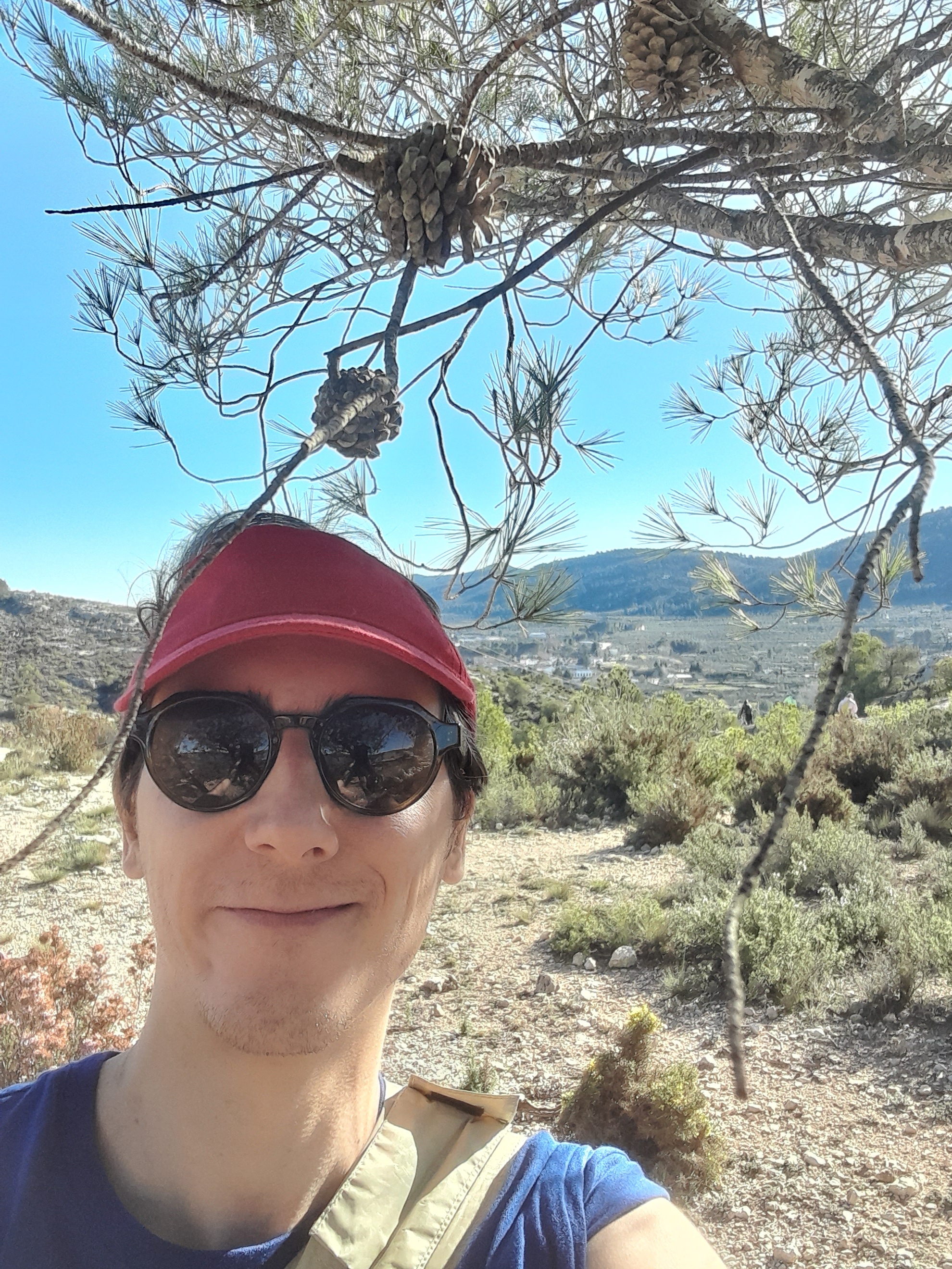 Wishing you a joyful holiday season from sunny Spain!