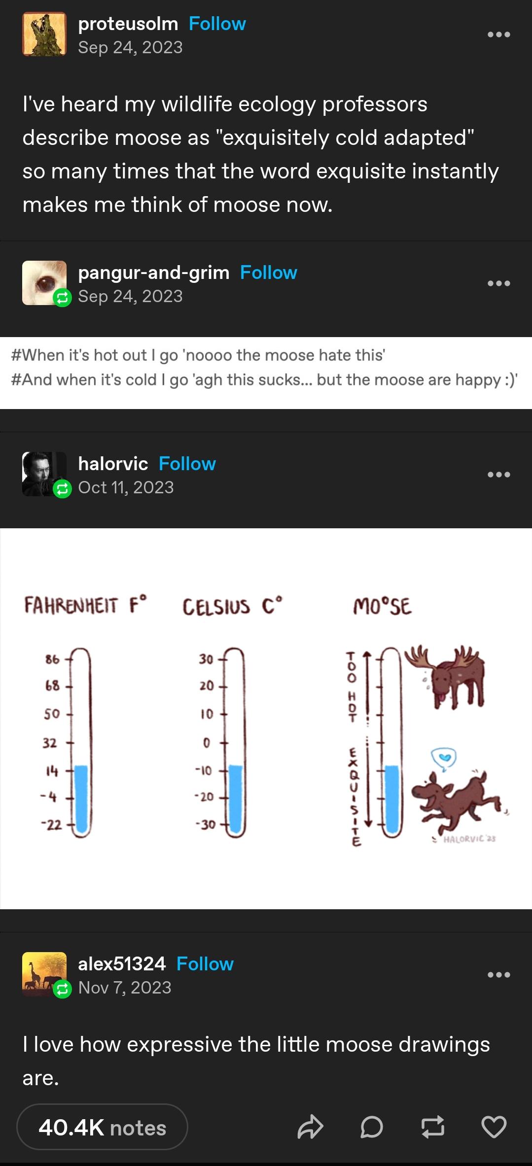 Moose: The Masters of Cold Adaptation