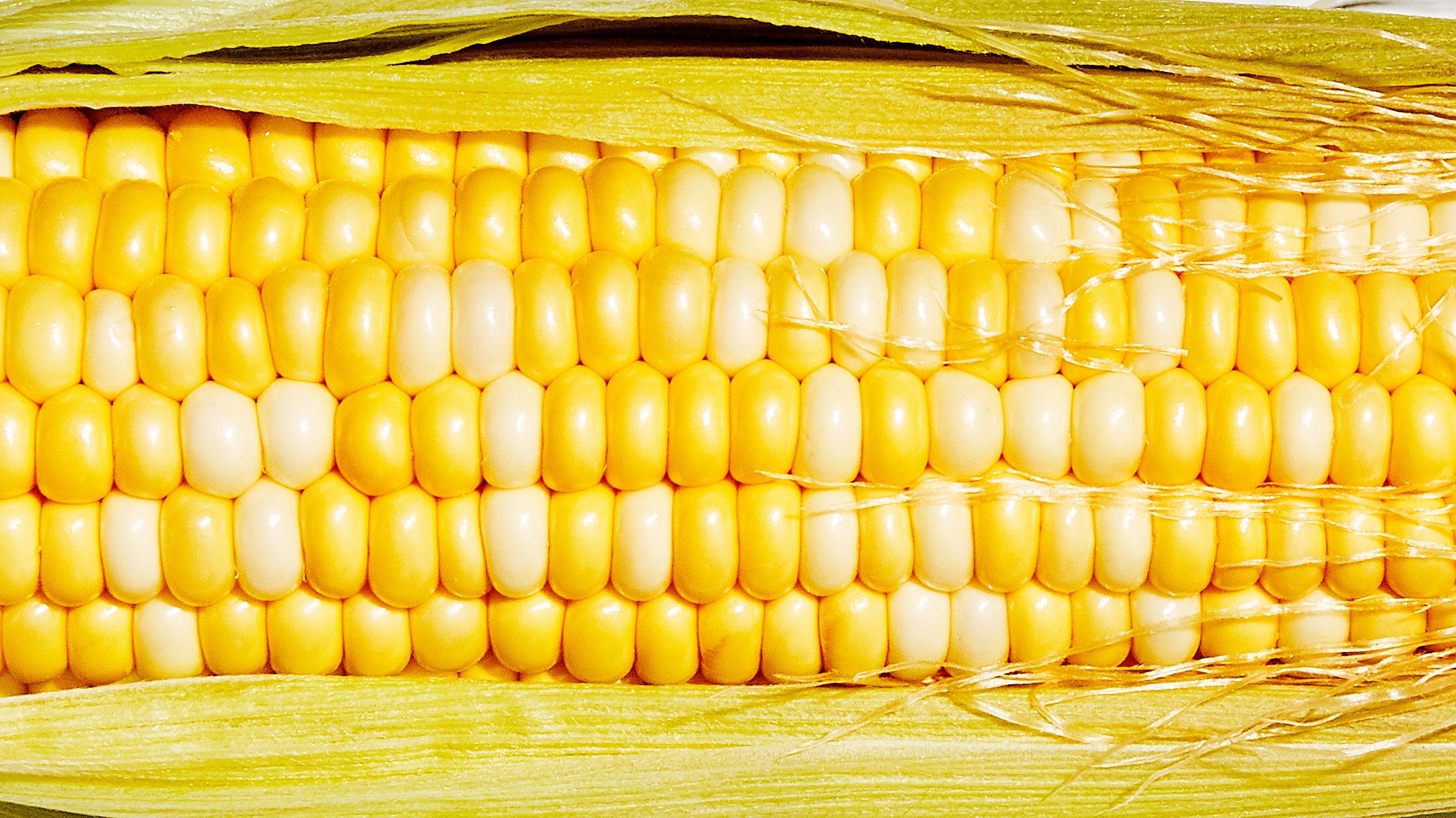 Is This Corn? Not Sure, I'm No Herbalist!