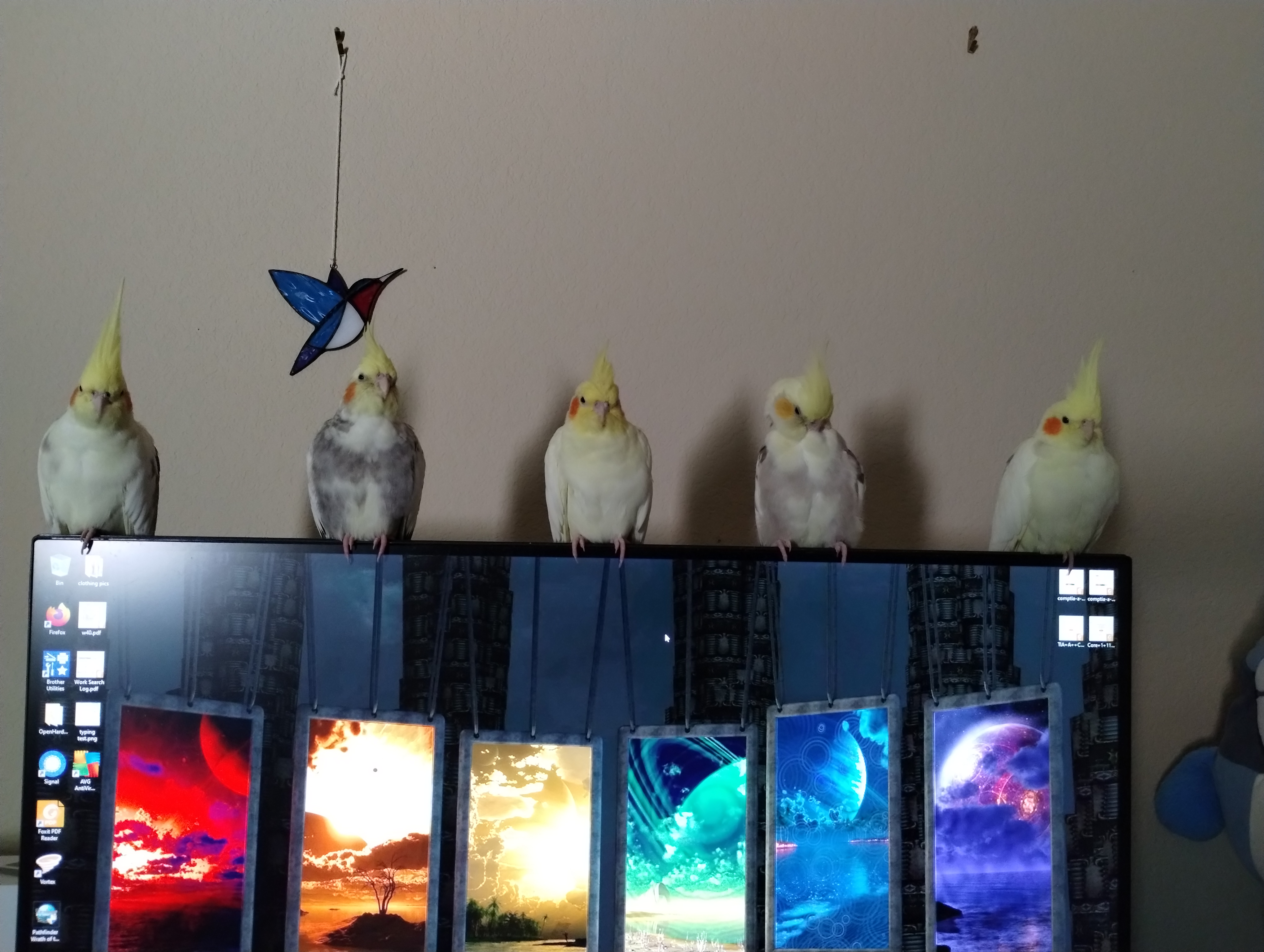 Feeling the Eyes on Me: They're Always Watching