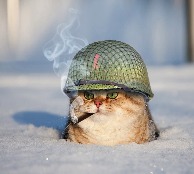 Epic Snowball Battle Unleashed!