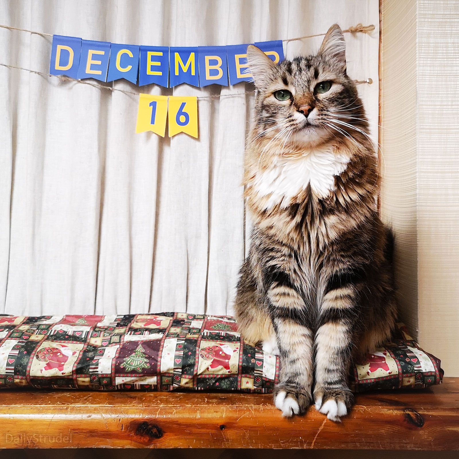 Mark Your Calendars: December 16