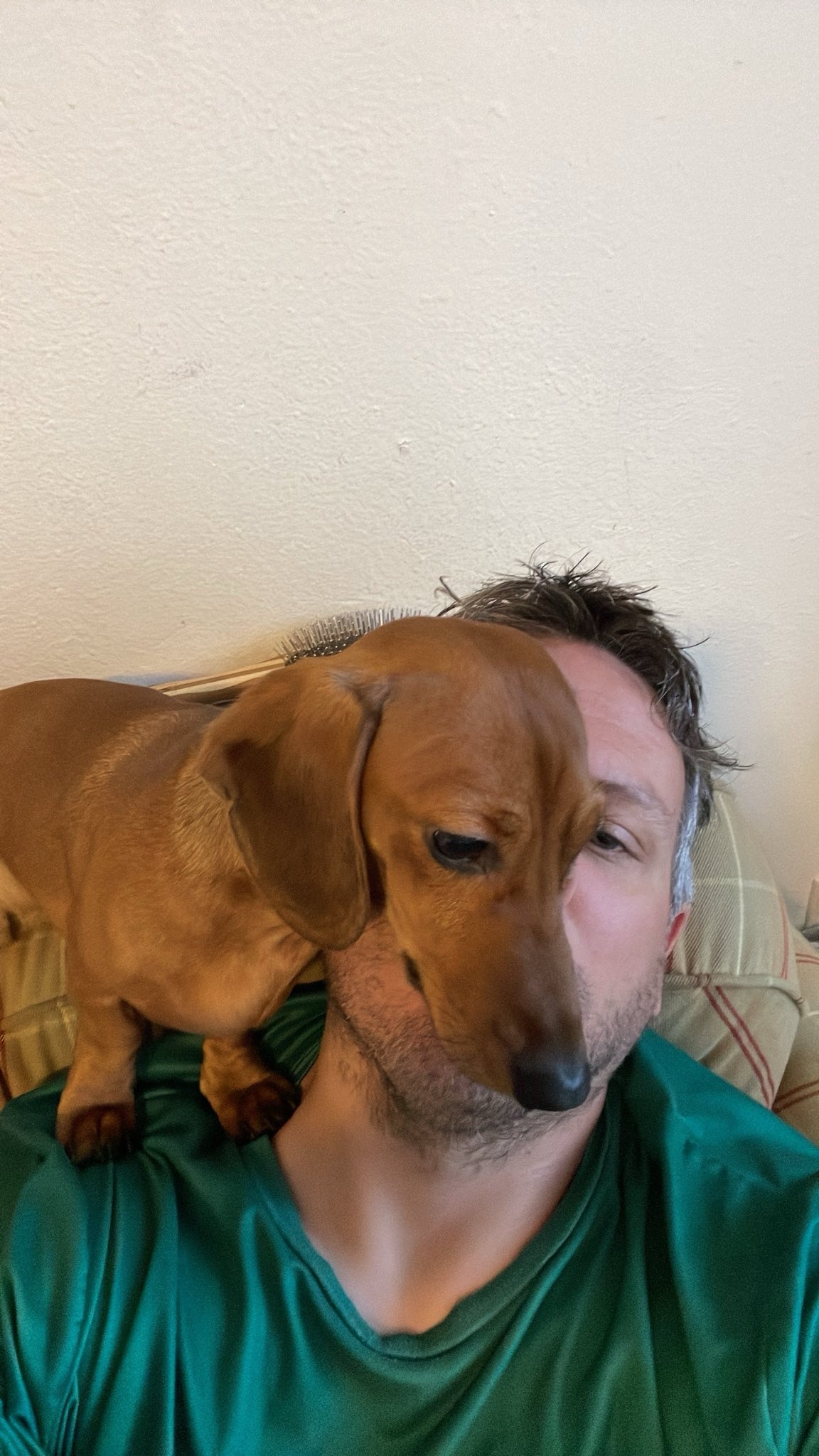 Forget the Xmas Selfies: Upvote Christmas Crowley and Always Remember to Pet Your Ween!