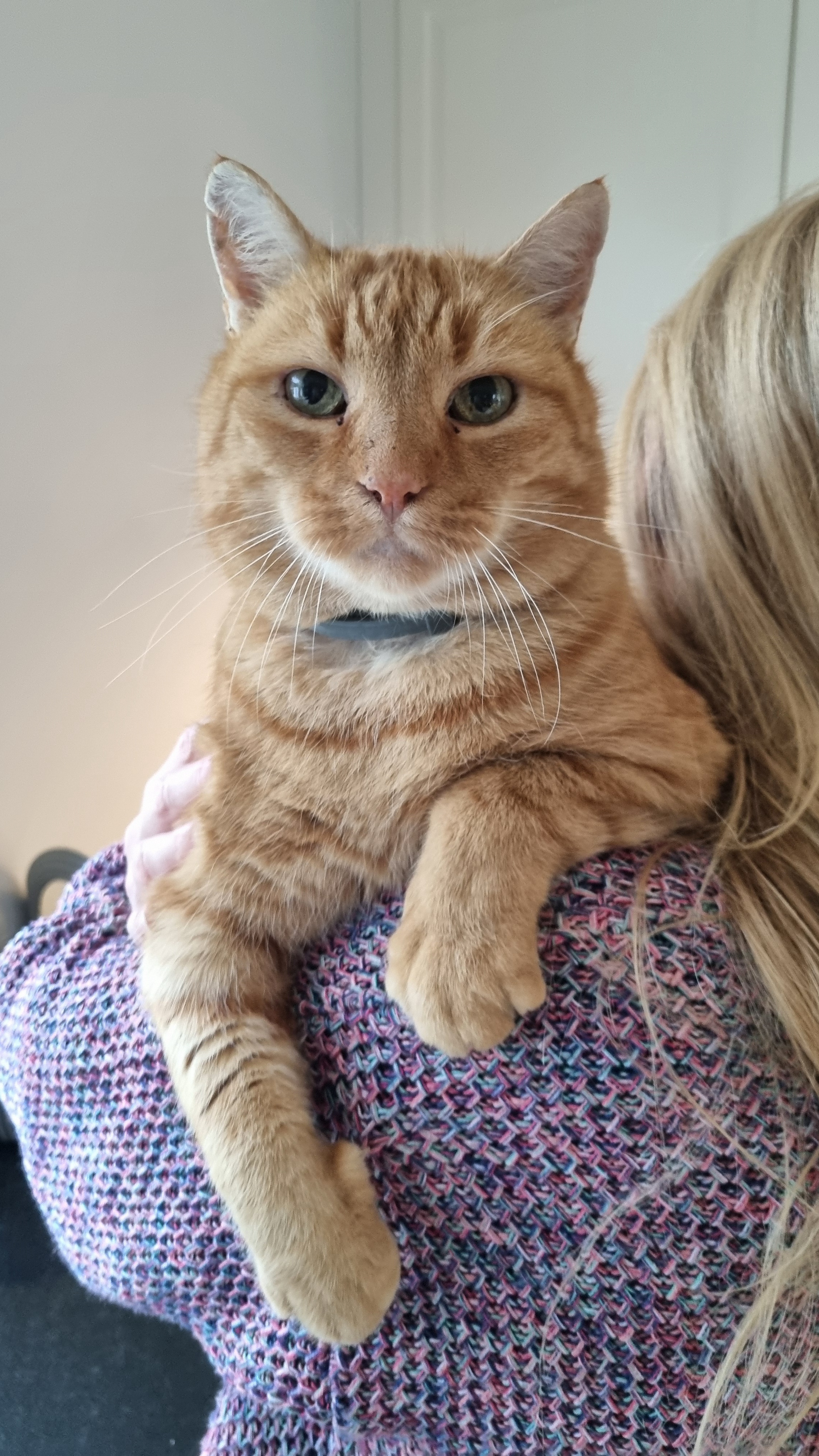 Meet Rudolf: Celebrating His 15th Birthday!