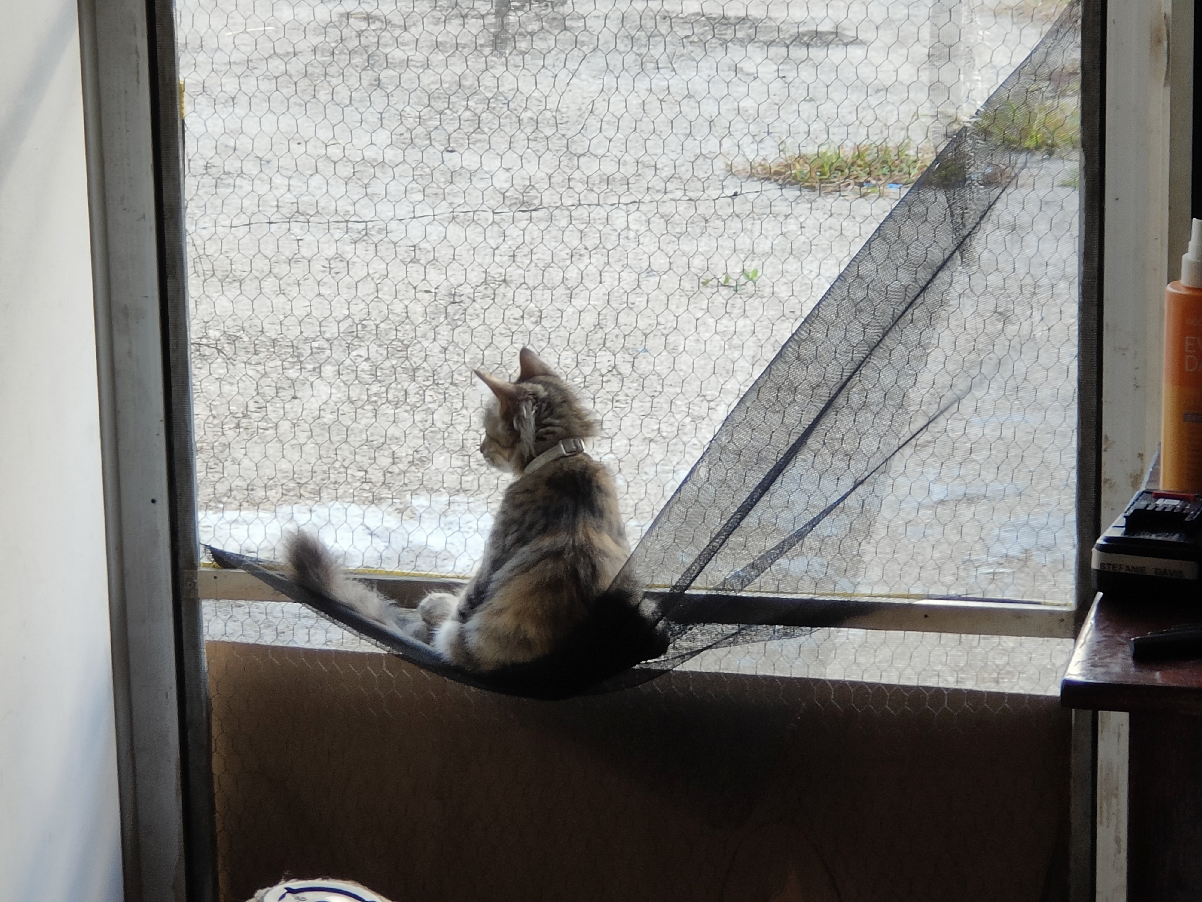 The screen door has been modified. May the force be with it!