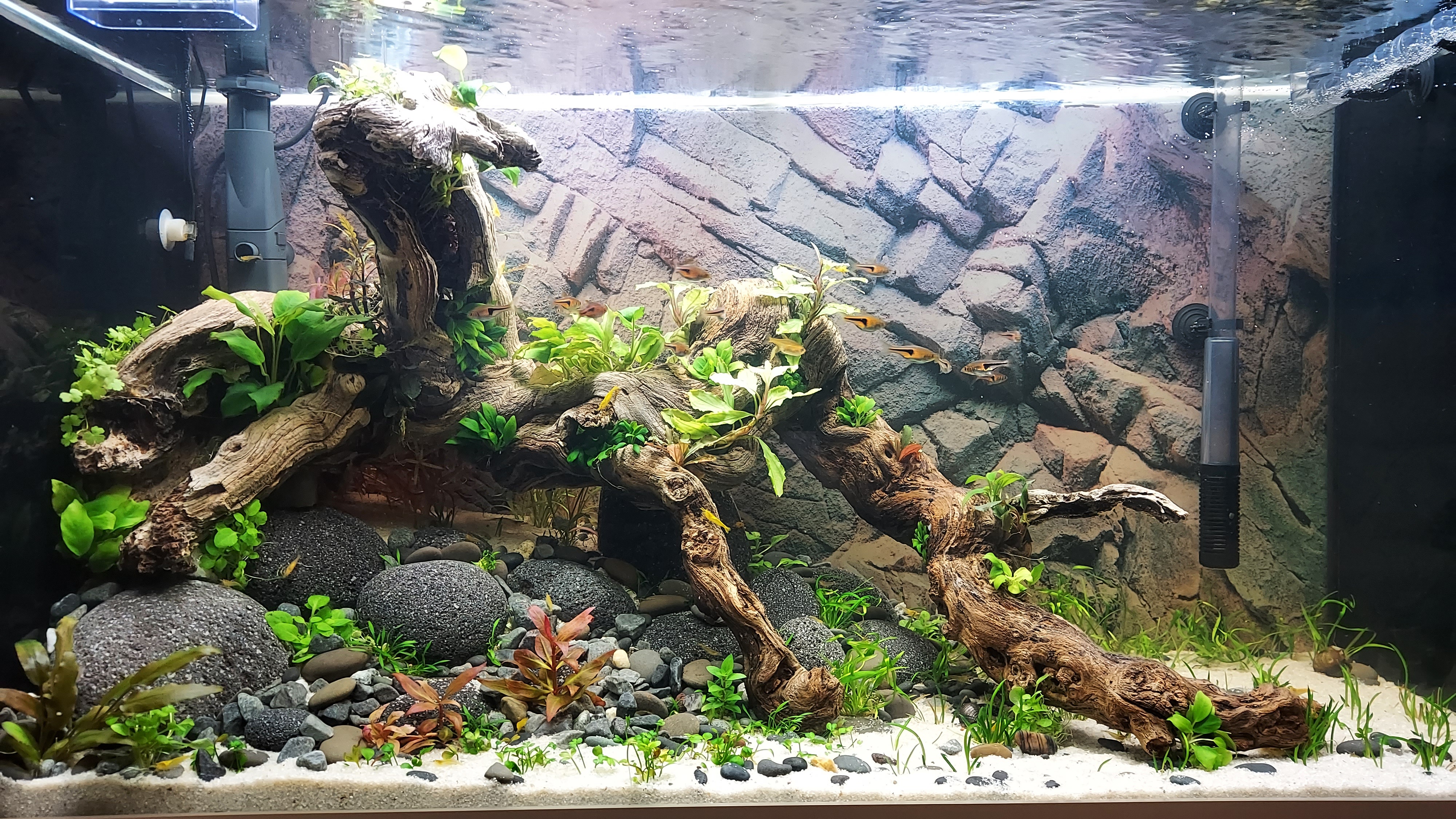 Exciting 125L Update: What's New?