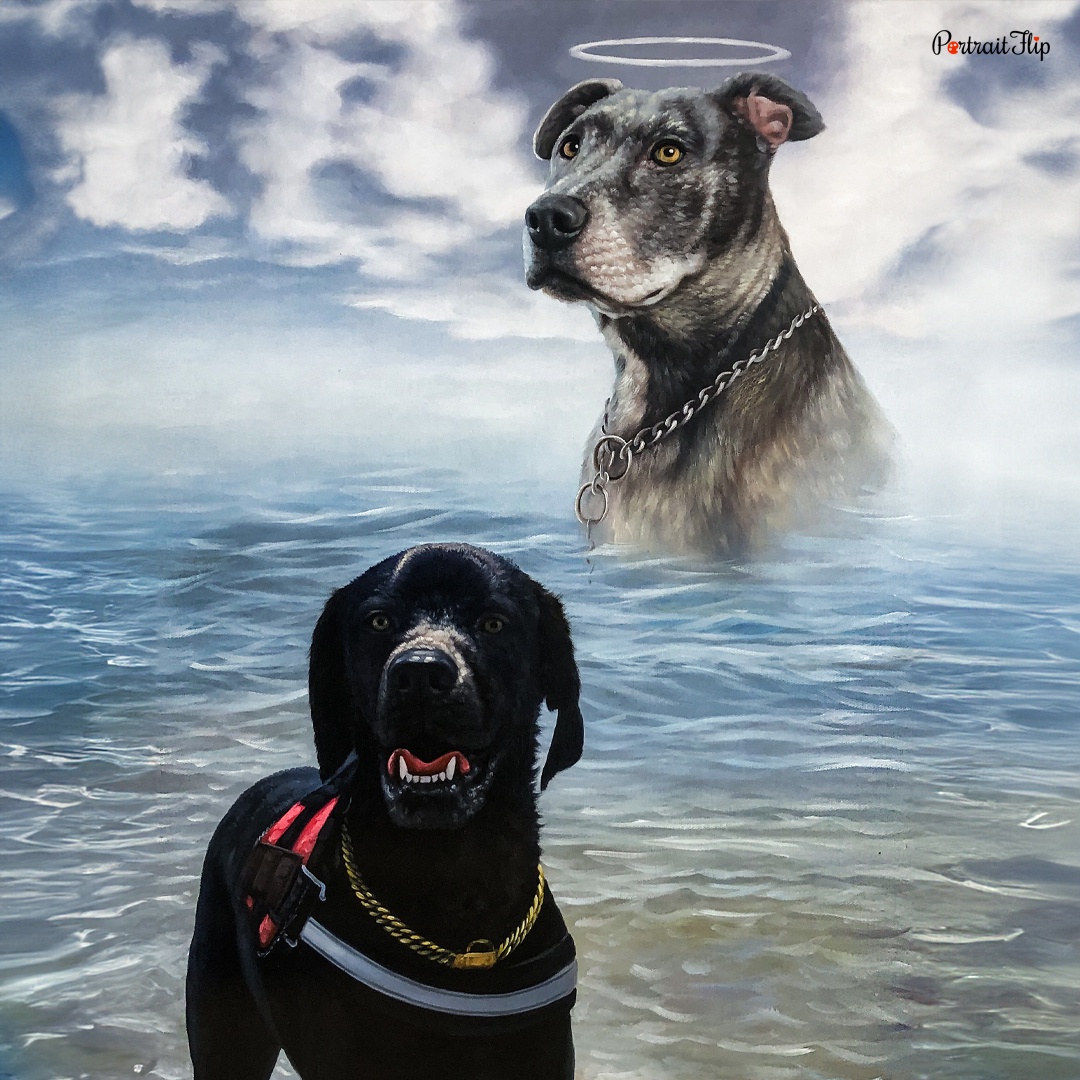 Celebrate Your Fur Baby with a Beautiful Portrait!