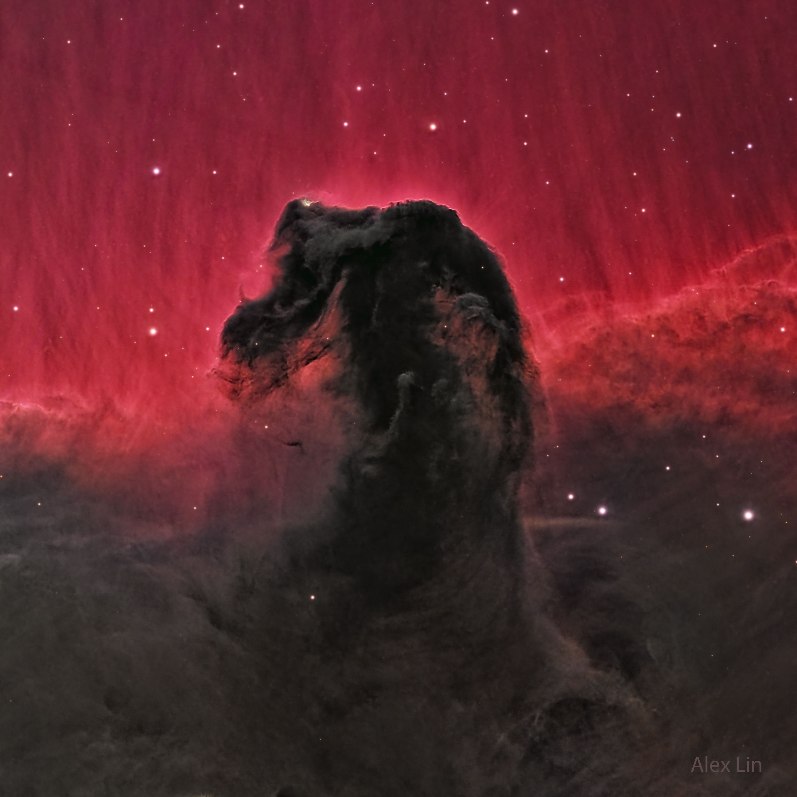 Wonders of the Universe: The Horsehead Nebula