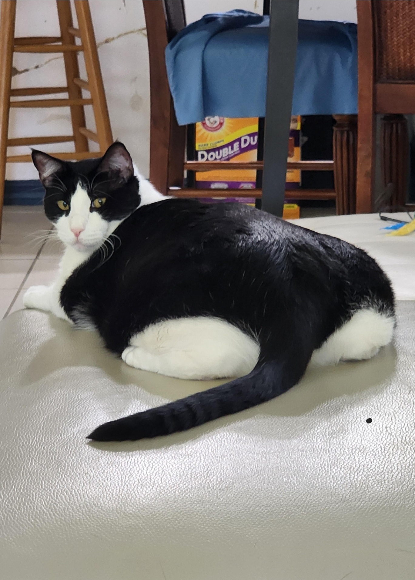 Do These Jeans Make My Butt Look Big?