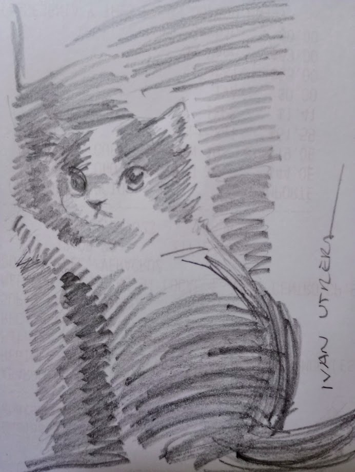 Just a cat being a cat