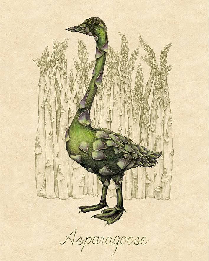 Introducing the Asparagoose!