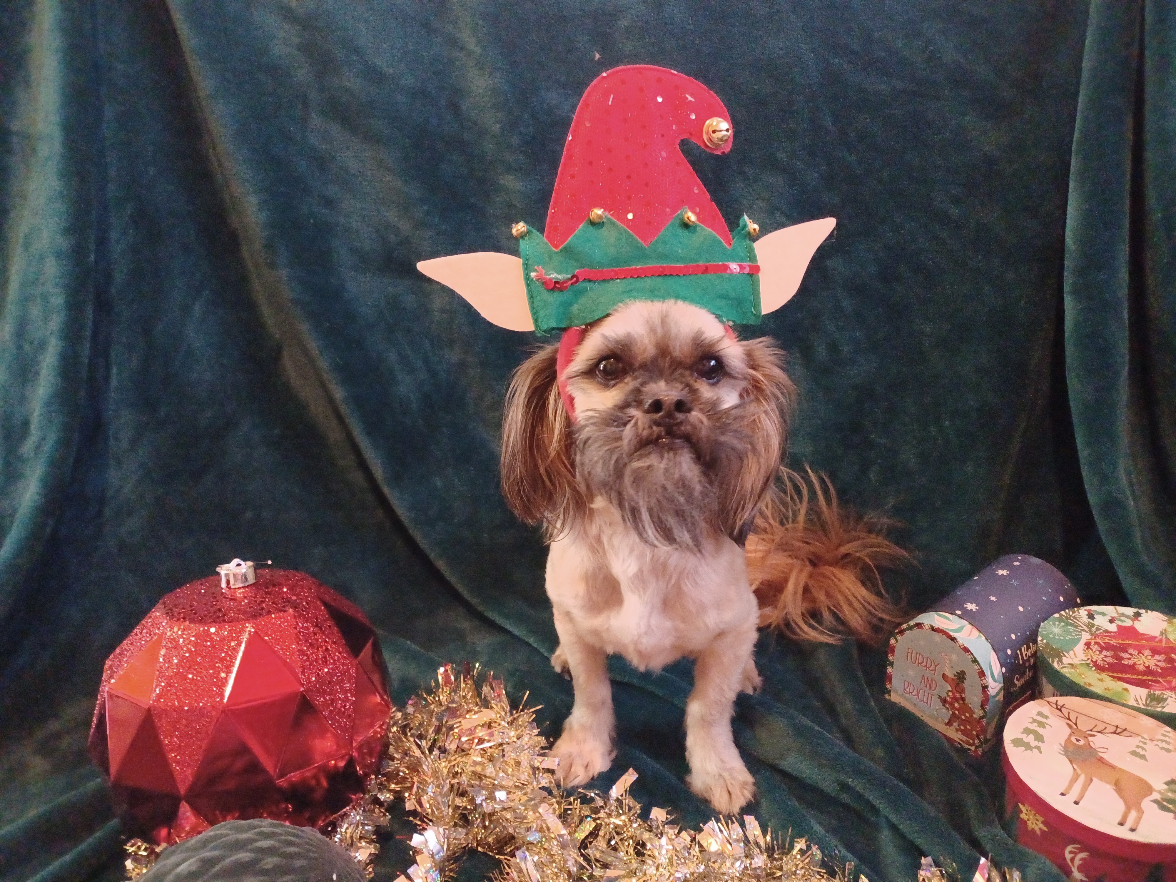 Wishing you a joyful Merry Christmas!