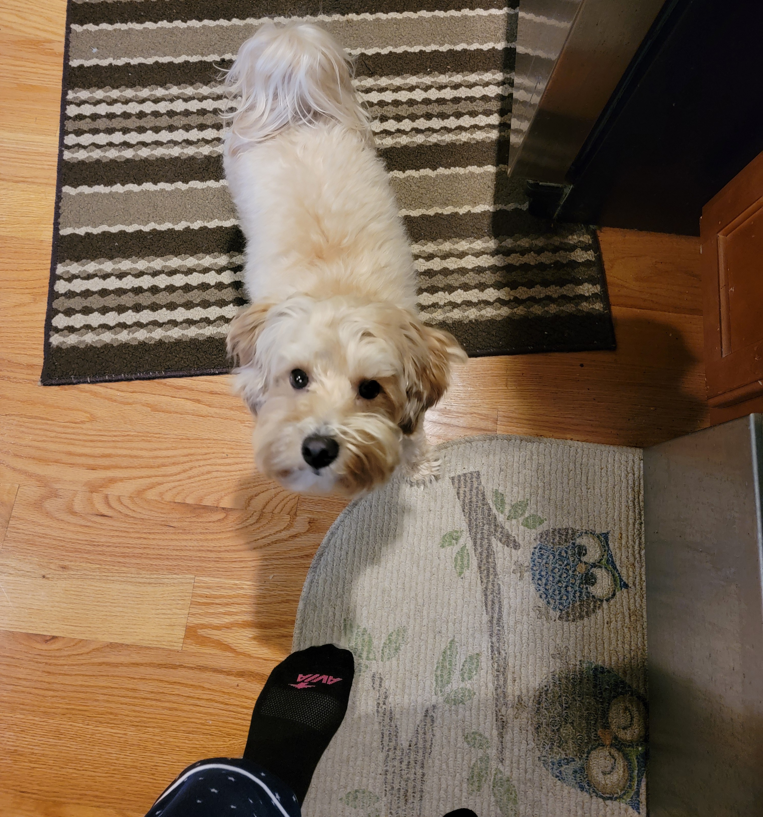 He's Taking Charge in the Kitchen