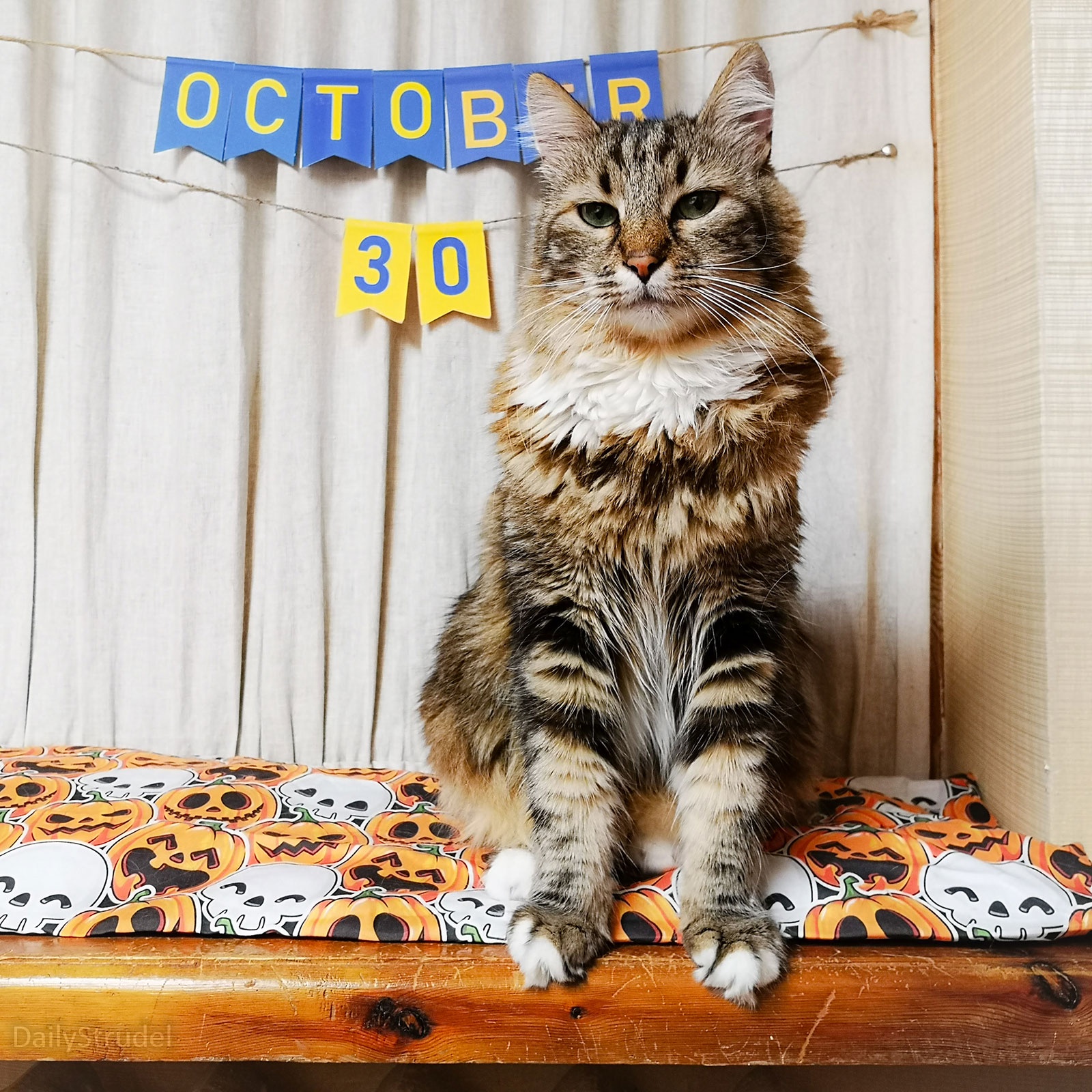 Mark Your Calendars: It's October 30!