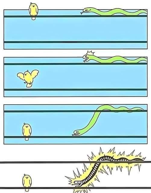 Caution: This Content is Non-Political!