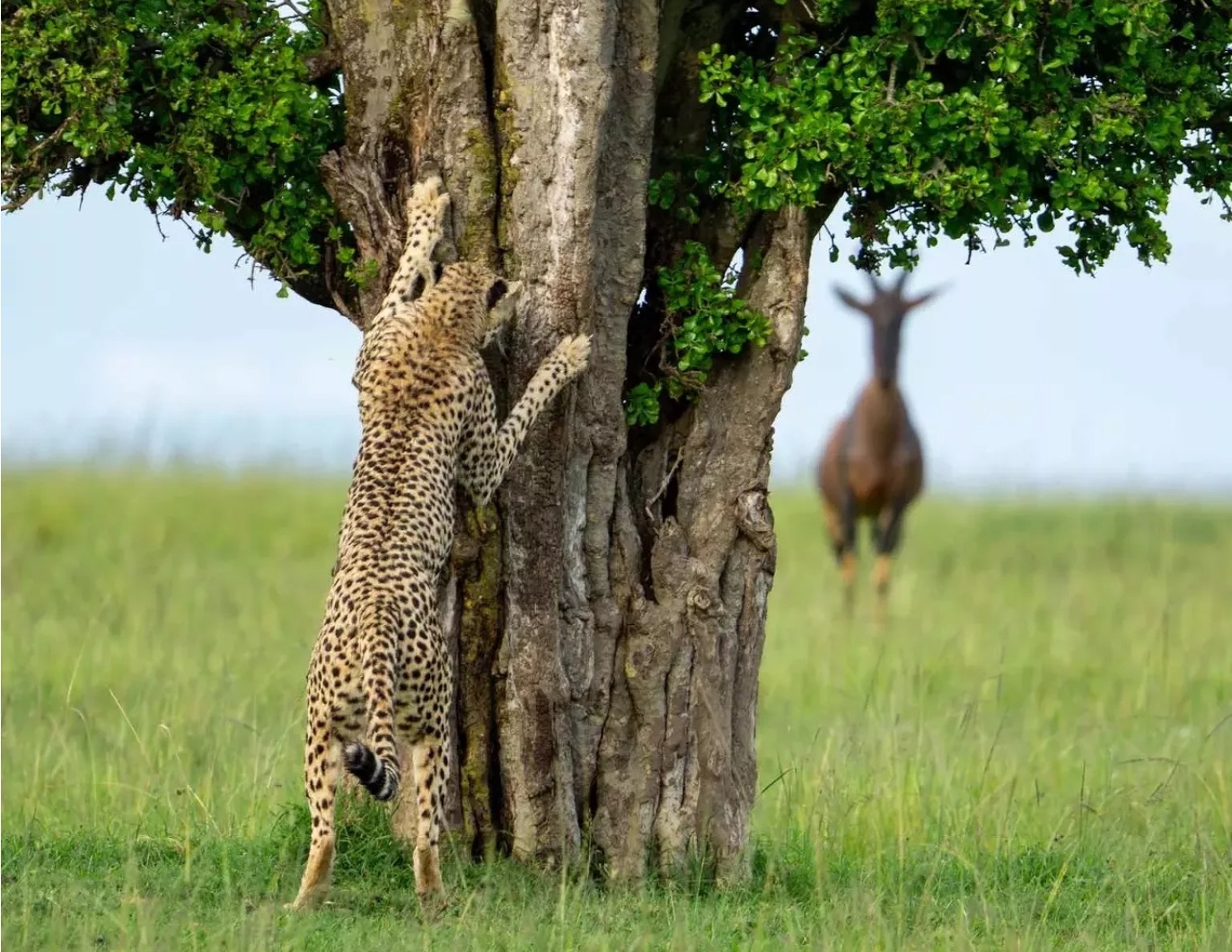 Playing Hide and Seek with Leslie McLeod—who will win?