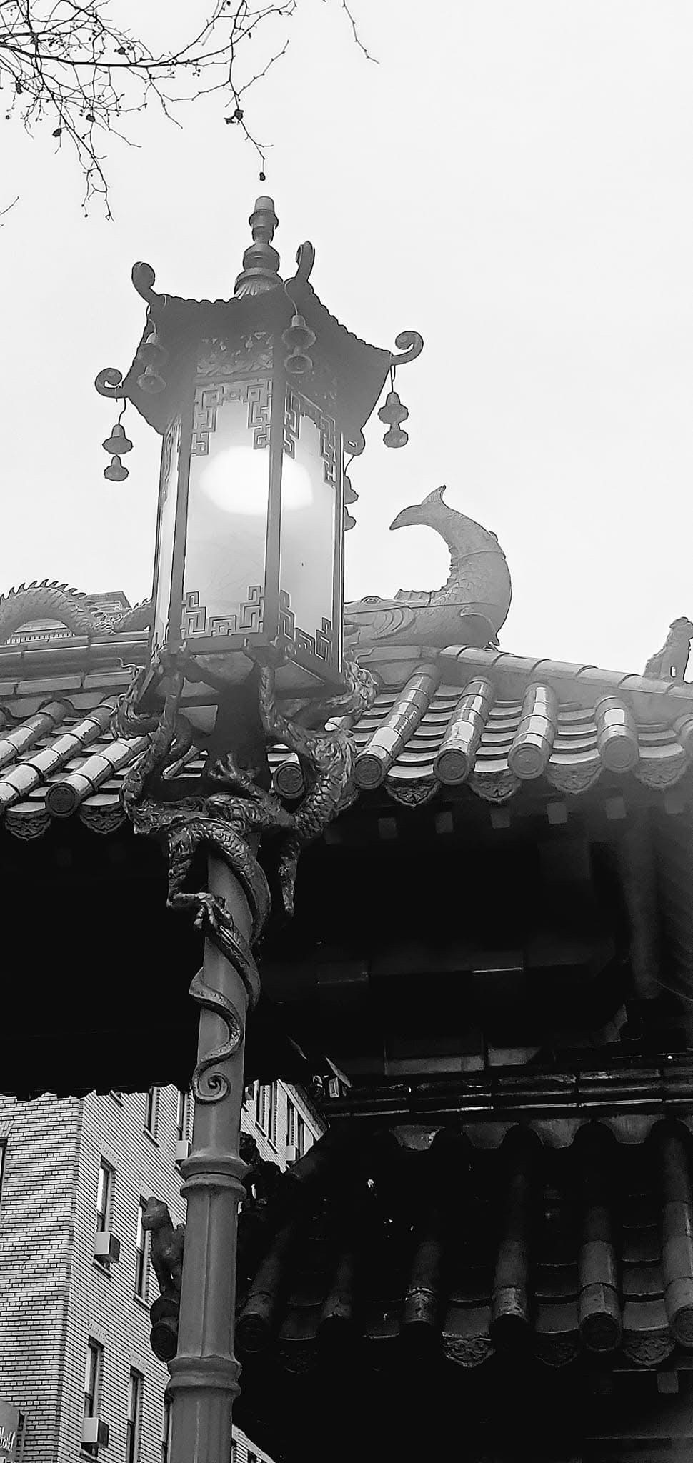 Exploring the Beauty of the Pagoda