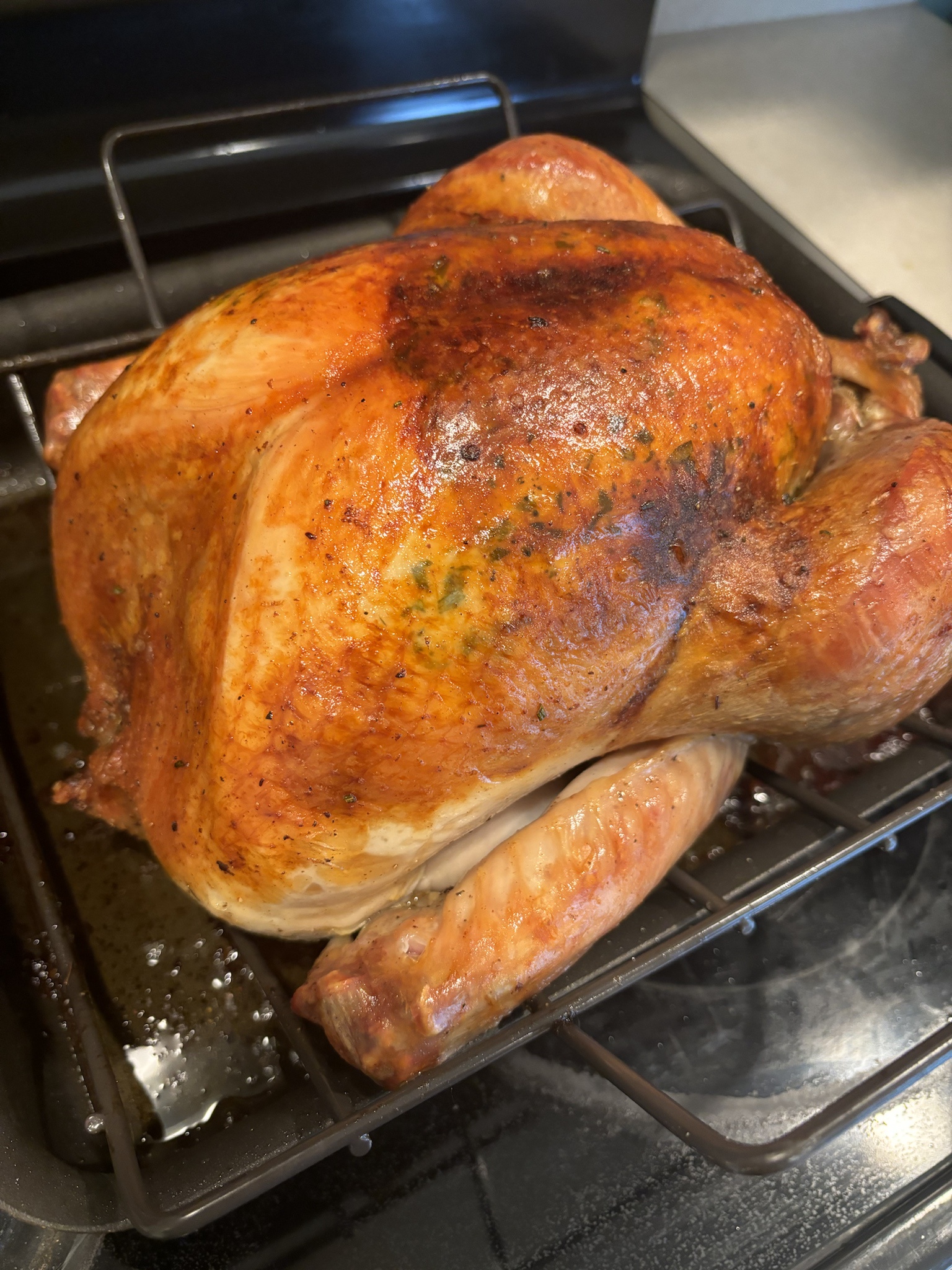 Wishing everyone a joyful Thanksgiving! The turkey is almost ready to feast.
