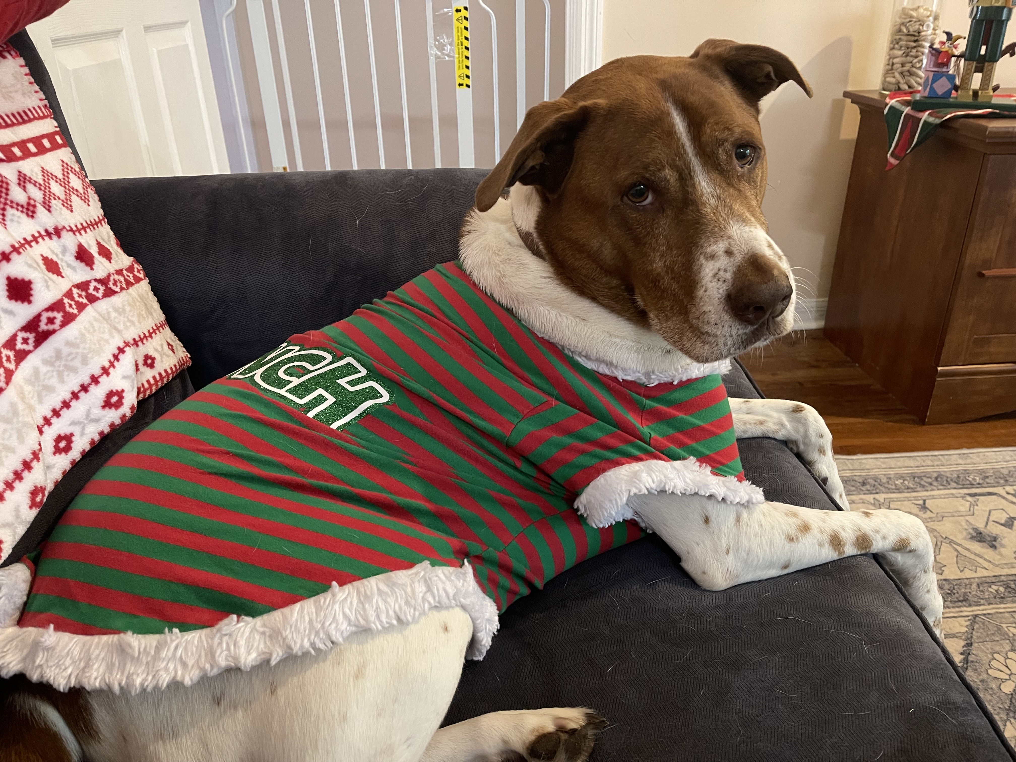 Jack Wishes You a Merry Christmas, You Filthy Animals!