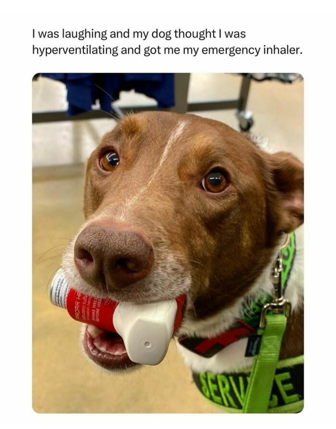 Heartwarming Tales That Bring a Smile