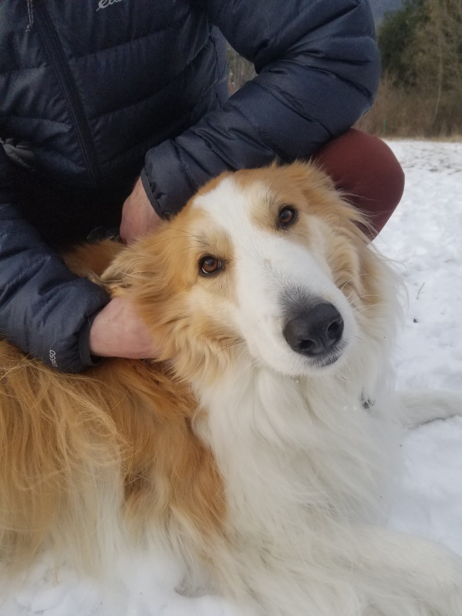 I'm a bit camera shy, but check out my incredibly photogenic dog!